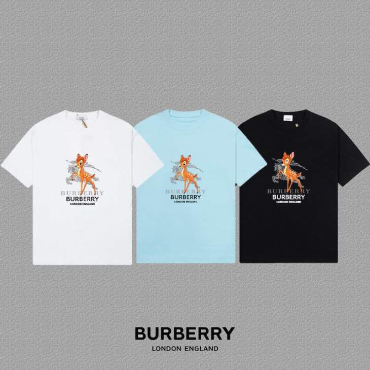 Picture of Burberry T Shirts Short _SKUBurberryS-2XLxetr20219751
